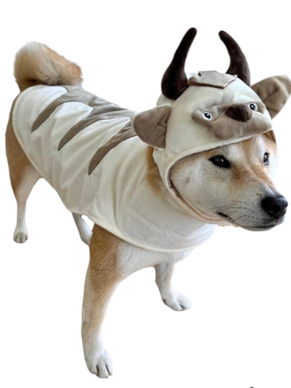 NWOT Appa Avatar Airbender Inspired Bull Oxen Viking Hoodie Costume with Horns